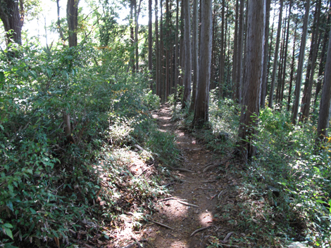 20171026hike (102)